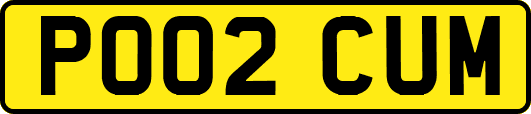 PO02CUM