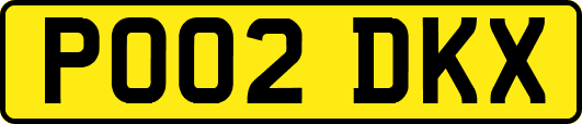 PO02DKX