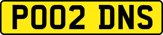PO02DNS