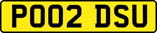PO02DSU