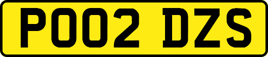 PO02DZS