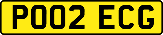 PO02ECG