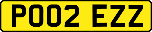 PO02EZZ