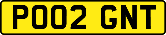 PO02GNT