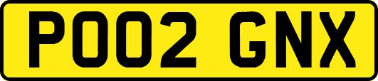 PO02GNX