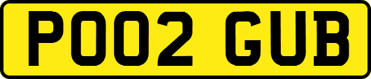 PO02GUB