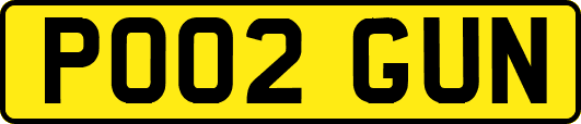 PO02GUN