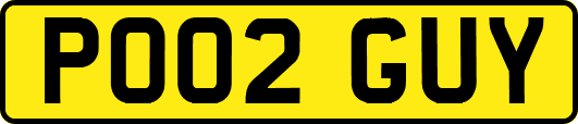PO02GUY