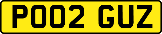 PO02GUZ