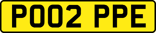 PO02PPE