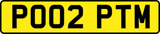 PO02PTM