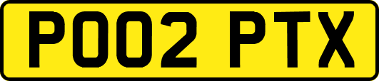 PO02PTX
