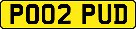PO02PUD