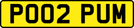 PO02PUM