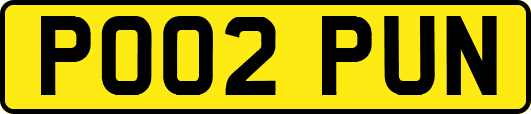 PO02PUN