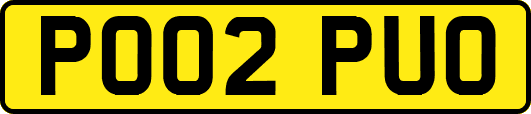 PO02PUO