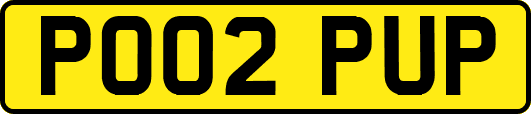 PO02PUP