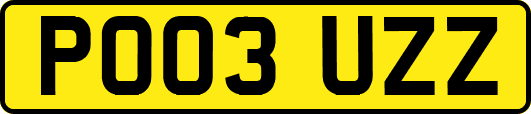 PO03UZZ