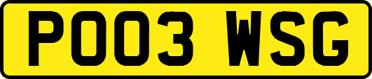 PO03WSG