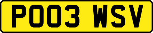 PO03WSV