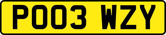 PO03WZY