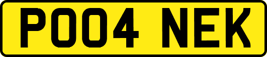 PO04NEK