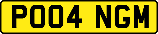 PO04NGM