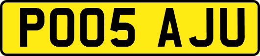 PO05AJU