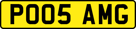 PO05AMG