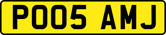 PO05AMJ