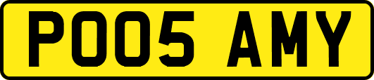 PO05AMY