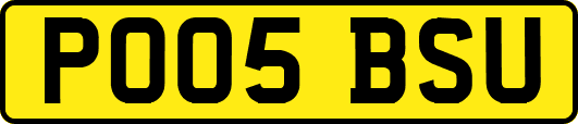 PO05BSU