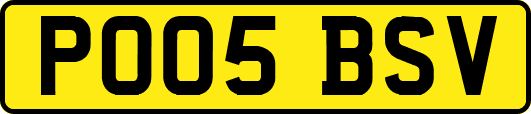 PO05BSV