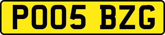 PO05BZG