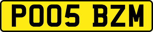 PO05BZM