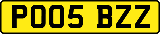 PO05BZZ