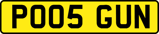 PO05GUN