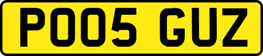PO05GUZ