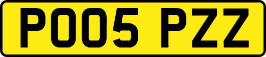 PO05PZZ