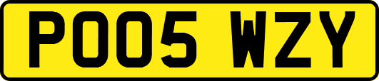 PO05WZY