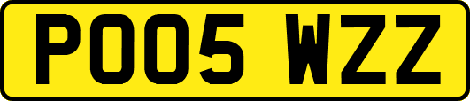 PO05WZZ