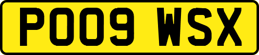 PO09WSX