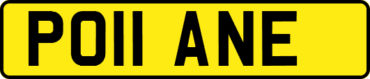 PO11ANE