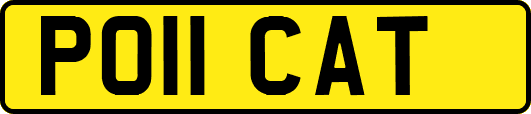 PO11CAT