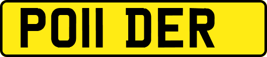 PO11DER
