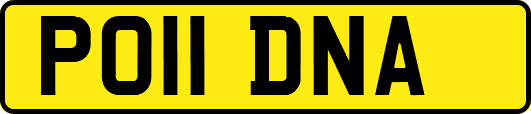 PO11DNA