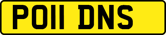 PO11DNS