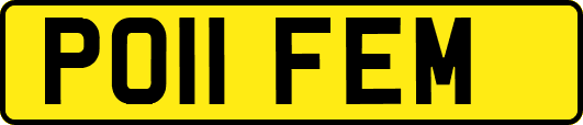 PO11FEM