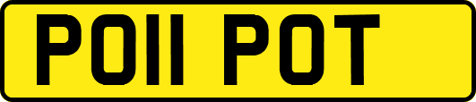 PO11POT