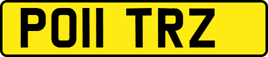 PO11TRZ